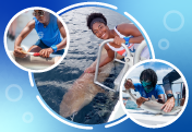 Learn more about Minorities in Shark Science