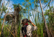 Learn more about Long-term Tracking of Wetland Birds