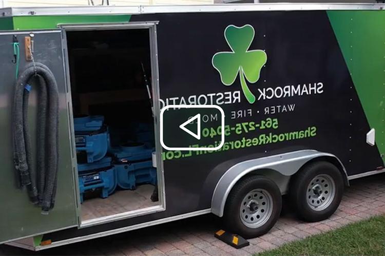 Learn about Shamrock Restoration