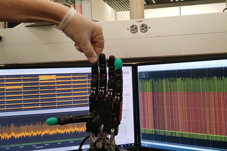 Biohybrid Robotic Hand